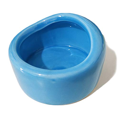 AmakunftnX^[p H  pH M fO[p at[h{E œ|ɂ 芴 ѓ 􂢂₷ bg K