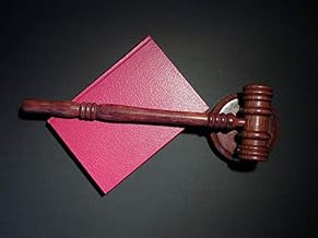 Home Comforts Justice Hammer Law Clause Court Paragraph Judge-20 Inch By 30 Inch Laminated Poster With Bright Colors And Vivid Imagery-Fits Perfectly In Many Attractive Frames