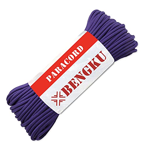 BENGKU Outdoor Mil-SPEC 550lb Paracord/Parachute Cord(MIl-C-5040-H),100Feet (Purple, 100.00)