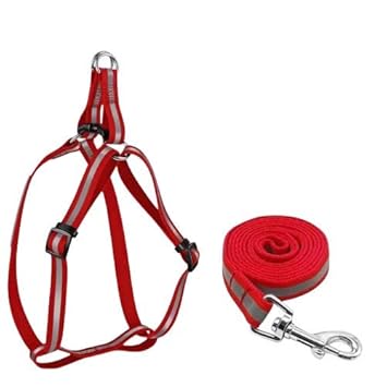 Emily Pets Nylon Reflective Dog Harness Leash Set Adjustable Heavy Duty No Pull Halter Harnesses for Small Medium Large Breed Dogs Back Clip Anti-Twist Perfect for Walking(Red)