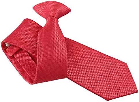 DQT Men Plain Solid Check Wedding Formal Casual Groom Best Man Office Security Easy to Wear Clip On Tie