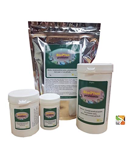 The Birdcare Company 1KG BioPlus Probiotics, Pet Birds, Pigeon, Poultry, Raptor