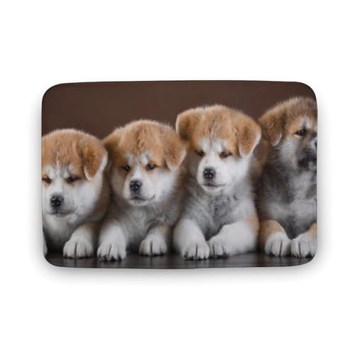 Č  L  oX}bg z/唻 փ}bg  O   \ ~ Aj LN^[ @}bg   ʏ