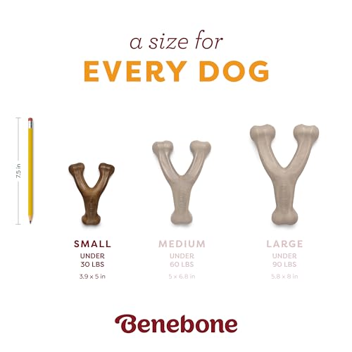 Image of Benebone Pumpkin Spice Wishbone - Limited Edition Flavor, Durable Dog Chew Toy for Aggressive Chewers, Made in USA, Small