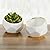 Kate Aspen 23216NA Geometric Ceramic Planters Decorative Bowls (Set of 2) Trinket Dish, Home, Room, Desk, Table Décor, One Size, White
