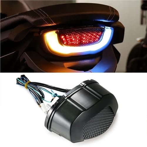 Luz trasera integrada para Honda CBR650R CB650R con intermitentes LED 7