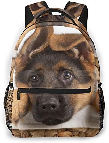 High School Outdoors Bicycle Backpack Daypack Durable Polyester Multipurpose Anti-Theft Daypack Large Capacity Shoulder Bag