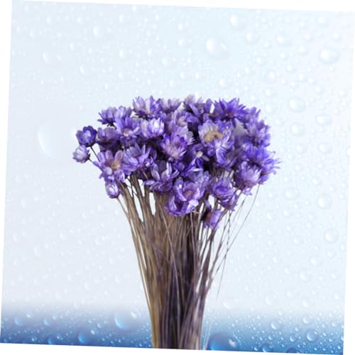 Daisy seca decoración 30 piezas para arreglo DIY miniatura 5