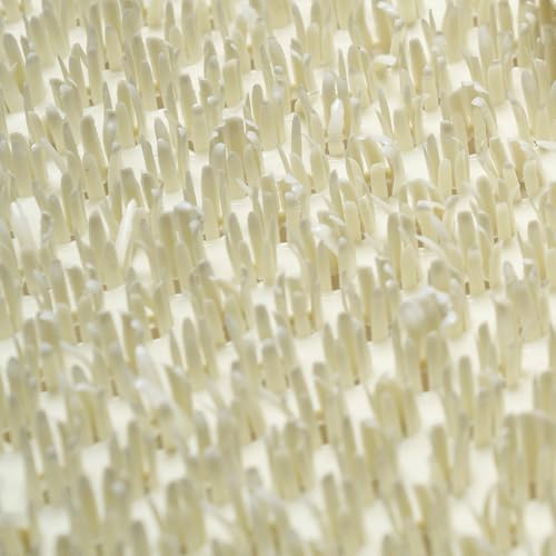 AQUALONA® Luxury Bath Mat, Anti-Mould Non-Slip – PVC. BPA, Latex and Phthalate Free (Comfort Beige)