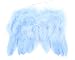 Touch of Nature 7 by 6-Inch Feather Wings for Arts and Craft, Mini, Light Blue