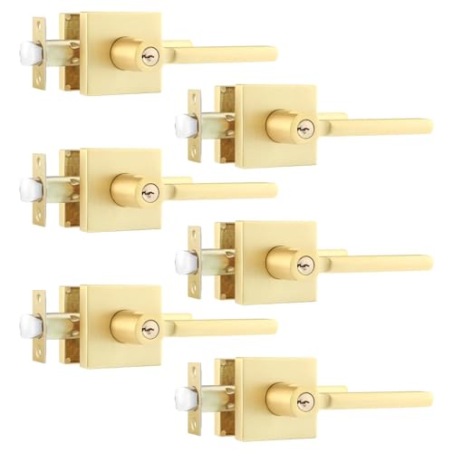 Leydebong Door Lock Gold Front/Exterior Door Handle Keyed Alike with Keys