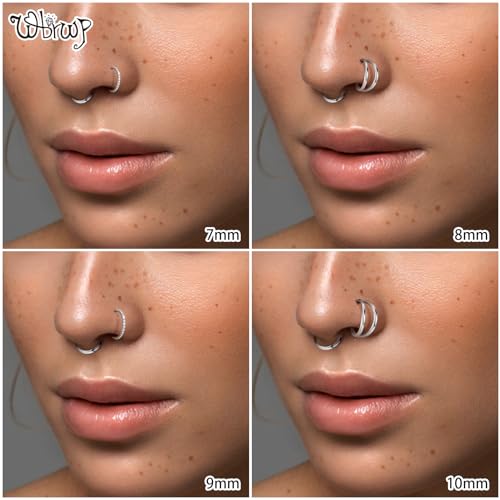 WBRWP Nose Rings Hoops for Women: 316L Surgical Steel Double Hoop Nose Rings Hinged CZ Septum Clicker Conch Cartilage Helix Rook Tragus Daith Earring Hoops Piercing Jewelry3
