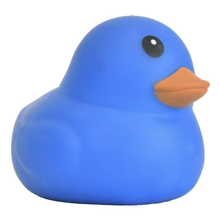 Duck Squishy, Sensory Fidget Toys for Stress Relief, Squishies Fidgets Anxiety Management Classroom and Office Use Items, Squeeze Stress Relief Party Favors Birthday Gifts Christmas (Blue)