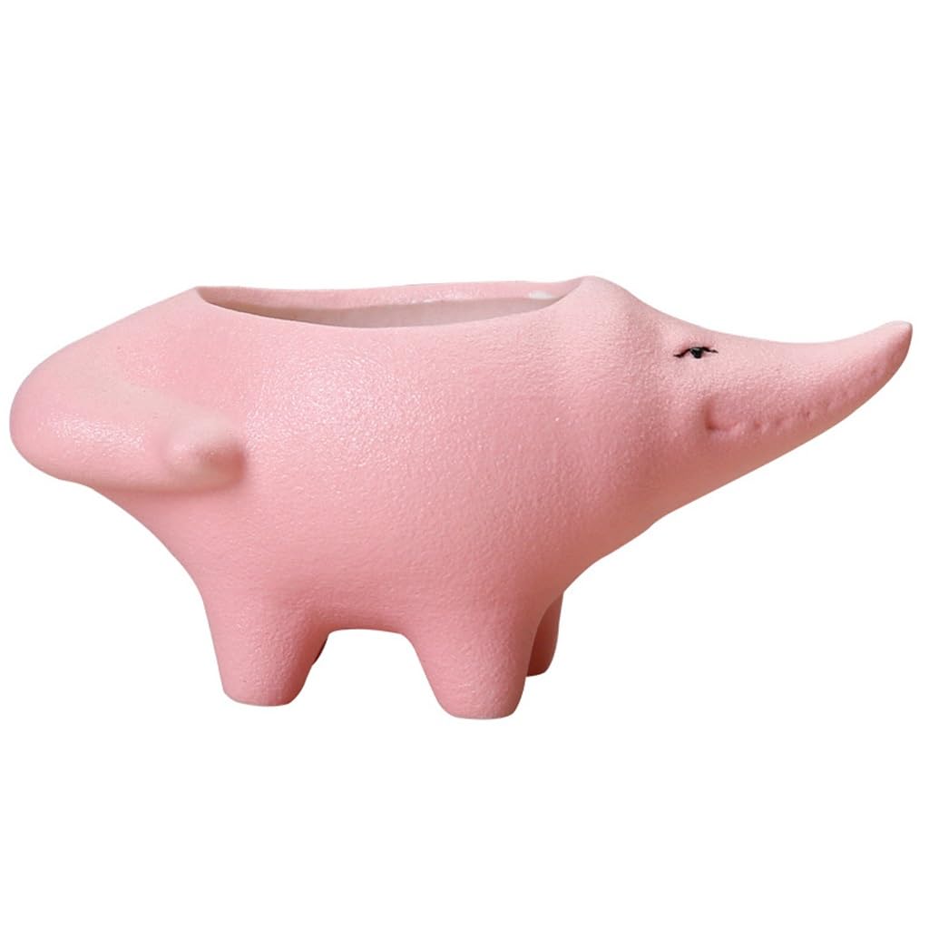 Gelasige C Flower Pots Rocodile Succulent Flower Pots, Ute Erami Flower Pots, Balcony Flower Pots, Garden Decorative Flower Pots Outdoor Flower Pots(C)