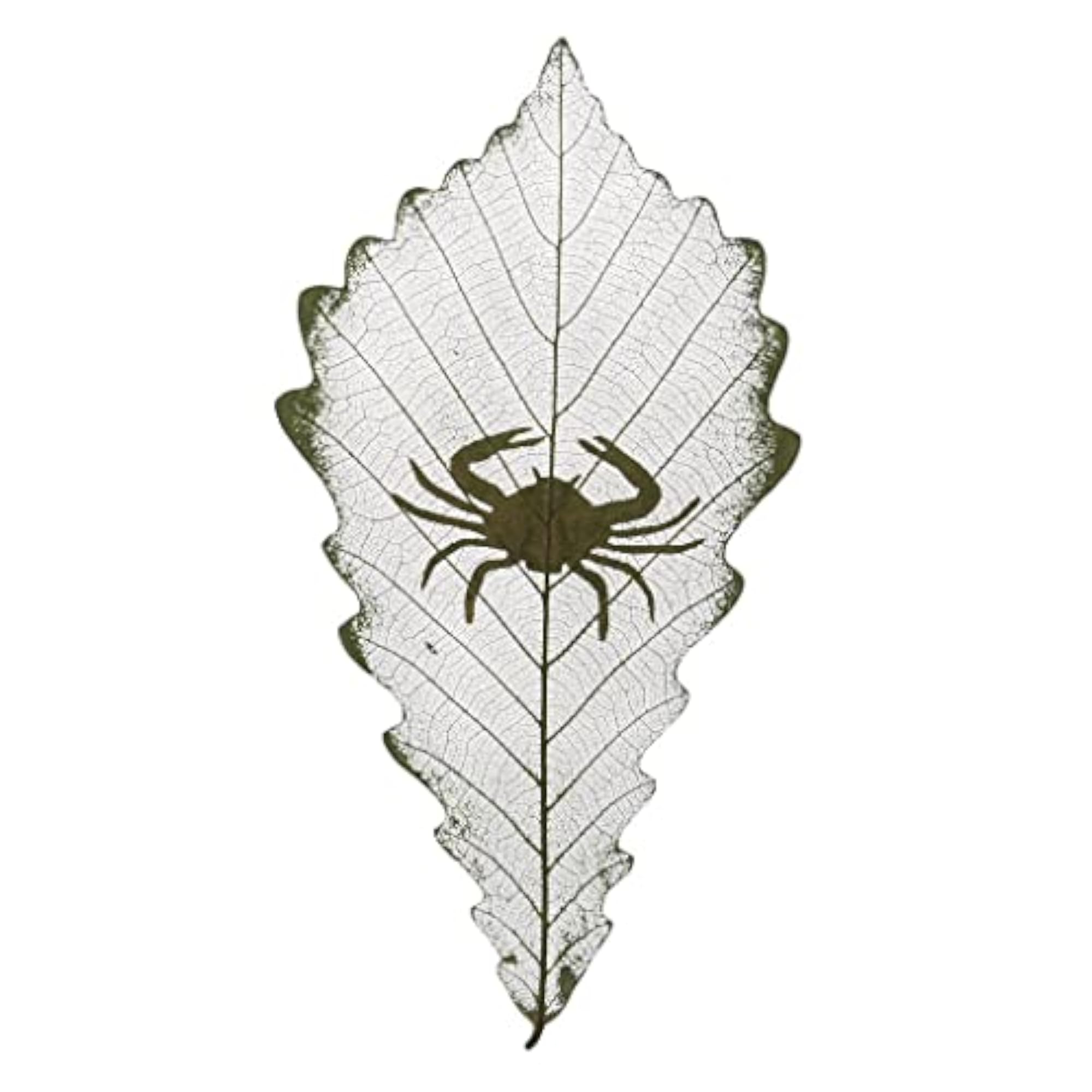 Constellations Design Leaf Carving Art Natural Dried Leaves