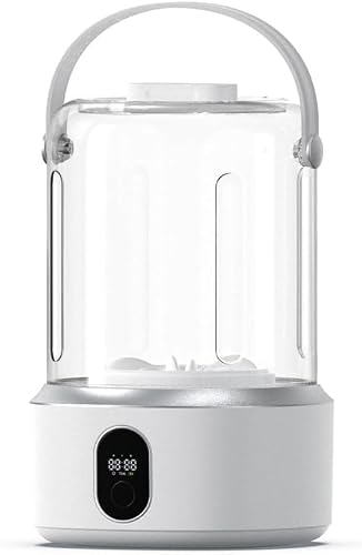 Portable Washer