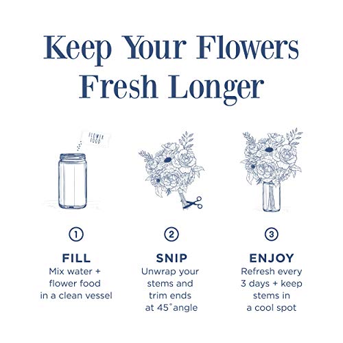 The Country Living Floral Collection Premium Fresh Cut Yellow Sunflower Bouquet, Fresh Flowers Delivery With Vase #TOP5