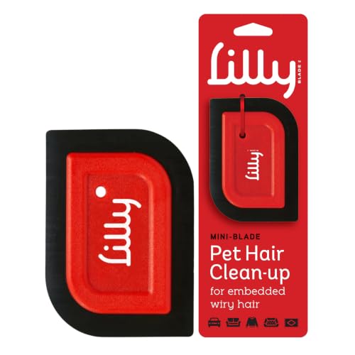Lilly Brush Mini Detailer