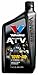Valvoline VV749 1 Quart 10W-40 4 Stroke ATV Motor Oil (12 Pack)12