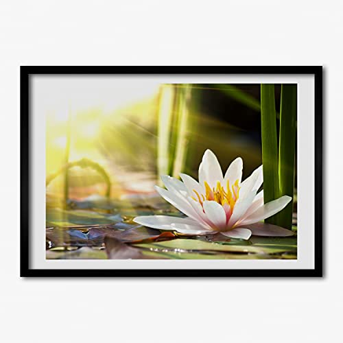 Tableau cadre en bois 70x50 cm Nenufar pour créer un salon zen et moderne