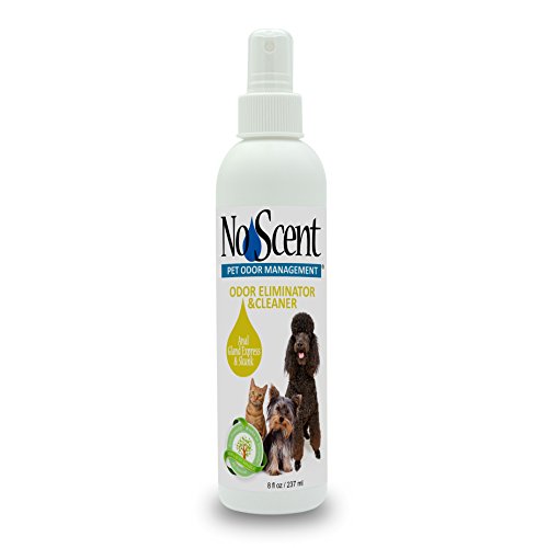 Buy No Scent Anal Gland Express & Skunk Professional Pet Grooming Skunk Odor Eliminator