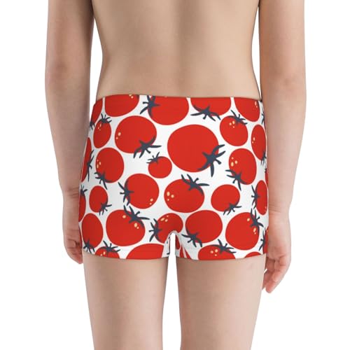 Boys' Cotton Boxer Brief Soft Underwear-Hand Drawn Tomatoes3