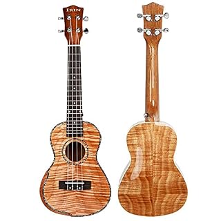 WGOEODI Ukulélé en Bois d’acajou plaqué de 23 Pouces, avec Gig Bag Capo Strings, Petite Guitare hawaïenne, 2,23 Pouces - Les Beatles, Paul McCartney, John Lennon, RIngo Starr, George Harrison