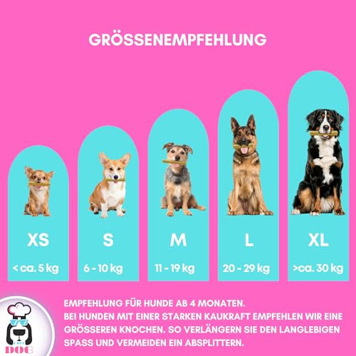 Chef Dog Kaukäse für Hunde XS/S mit Spirulina und präbiotischer Chicoréewurzel - Glutenfreie Käseknochen - Käsestangen für Hunde frei von Zusatzstoffen - Das Yak Kaukäse Rezept weiterentwickelt