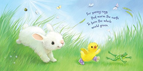 An Easter Prayer Touch and Feel: An Easter And Springtime Touch-and-Feel Book For Kids (Prayers for the Seasons) - Image 3