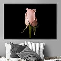 Framed Canvas Wall Art Rose Bohemian Dark Dramatic Floral Multicolor Petal Photography Portrait - 16x24 inches