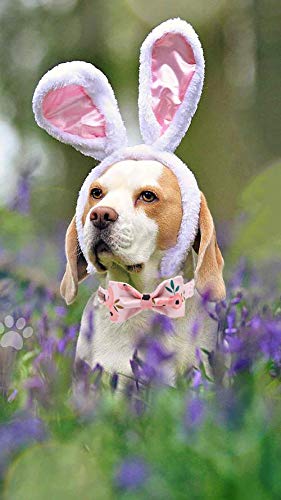 Elegant little tail Hundehalsband, Komfortables Hundehalsband mit Schleife, Rosa Blumenmädchenhalsband Verstellbare Hundehalsbänder für kleine, mittlere und große Hunde