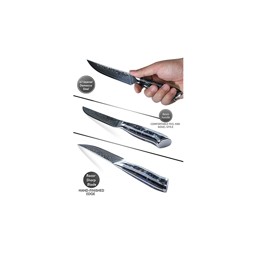 Steak-Knives-Set-of-4-Ultra-Sharp-Non-Serrated-Kitchen-Steak-Knife-5-Inch-Damascus-Steel-Resin-Handle-Xuan-Series-Starry-Black Steak Knives Set of 4, Ultra Sharp Non Serrated Kitchen Steak Knife 5 Inch - Damascus Steel & Resin Handle - Xuan Series (Starry Black)