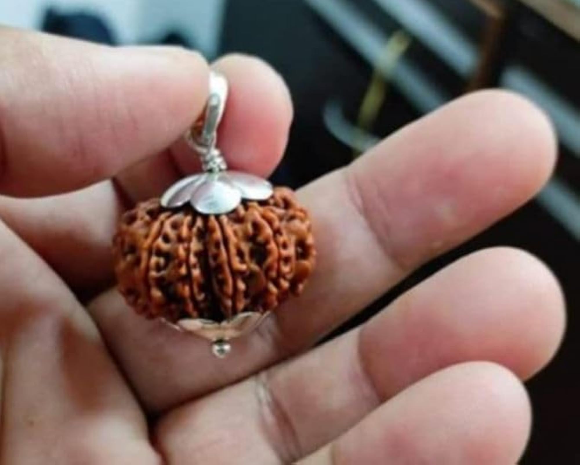 13 Mukhi Rudraksha Original Certified Bead Necklace