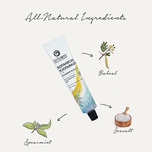 Image of Birdsong Herbal Botanical Toothpaste | Nano Hydroxyapatite | Fluoride Free SLS Free | Natural Remineralization and Teeth Whitening, Prevent Tooth Decay, Repair Enamel, Sensitive Teeth & Gum Care (300g)