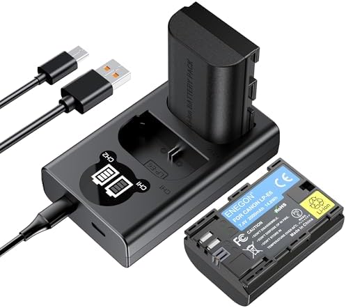 DuraPro 2x LP E6 Batterij LED Ingebouwde USB Oplader Met Type C Poort Voor Canon E6 E6n En Eos 5d Mark Ii Iii 5ds 5ds R 6d 7d 70d 80d Xc10 Blackmagic 4k 6k Camera S 783156483