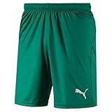 Gummibund mit Kordelzug Puma Herren Liga Shorts Core with Brief Hose, Pepper Green White, L