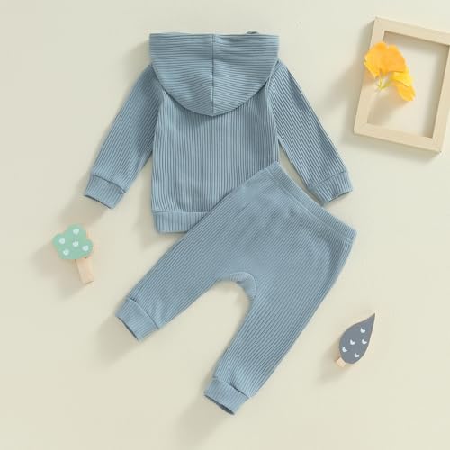fhutpw Baby Girl Boy Clothes Long Sleeve Knitted Cotton Hoodie & Pants Sets Infant 3 6 12 18 Months Fall Winter Outfits3