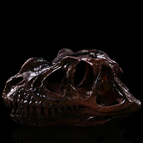 Fósil de cráneo de dinosaurio coleccionable y esqueleto decorativo 3