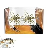 Tentacle Creature Lure, Japanese Style Soft Plastic Baits, Simulation Seaurchin Bait, Artificial SeaUrchins, for Drop Shot, Wacky Rig/Neko Rig and Finesse, Slow Sinking, Soft Bait