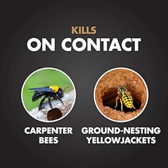 Spectracide Terminate Termite Killing Foam 16 Ounces, For Indoor And Outdoor Use