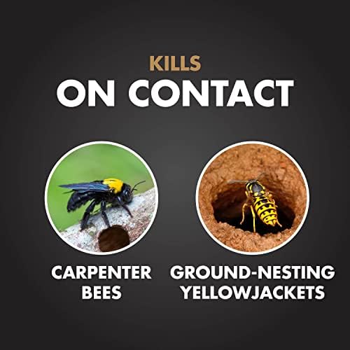 Spectracide Carpenter Bee & Gound-Nesting Yellowjacket Killer, 16 Oz - 2