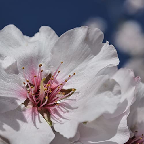 Esistere dopo la morte copertina