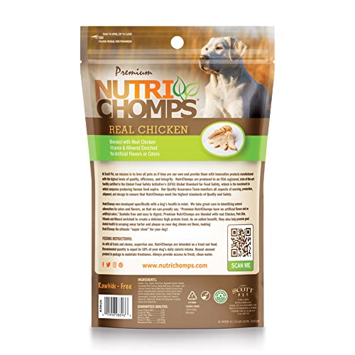 Nutrichomps Dog Chews 5-Inch Twists, Easy To Digest, Rawhide-Free Dog Treats, Real Peanut Butter Flavor & Real Chicken Flavor (Nt112V) - 10 Count (Pack Of 2) #TOP1