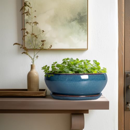 SQOWL Bonsai-Töpfe, 25,4 cm, große Keramik-Sukkulententöpfe, Flacher Übertopf mit Ablaufloch und Untersetzer… – Ansicht 6