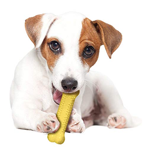 Nylabone 983611 Dura Power Chew, Flavour-Frenzy-Paket mit unterschiedlichen Sorten, Maiskolben-, Grillhähnchen- und Eiscremegeschmack, 3er-Pack, S