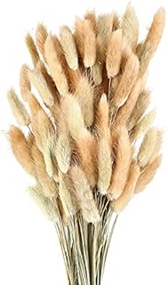 150 Piece Boho Dried Bunny Tail Grass Flowers for Vase Dry Rabbit Elegant Pampass Pompous GrassAntler Wedding Decor Natural Dried Lagurus Ovatus for Flower Arrangements Wedding Home Decor