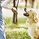 YUGUOLAN 2-Stück Hundepfeife Rückruf, Hundepfeife Hochfrequenz Lautlos, Erziehungshilfen Für Hunde Pfeifen,Hundetraining Hundepfeifen,Hilfsmittel Pfeife Hund Rückruf (Weiß, Schwarz)