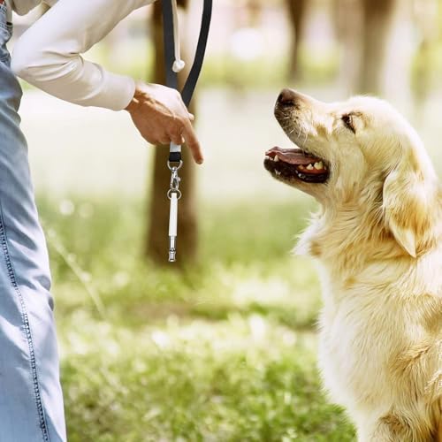 YUGUOLAN 2-Stück Hundepfeife Rückruf, Hundepfeife Hochfrequenz Lautlos, Erziehungshilfen Für Hunde Pfeifen,Hundetraining Hundepfeifen,Hilfsmittel Pfeife Hund Rückruf (Weiß, Schwarz)