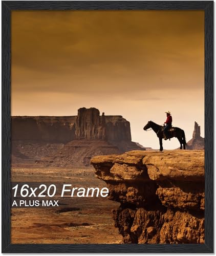A PLUS MAX 16x20 Picture Frame Black Light Weight Wall Mount
