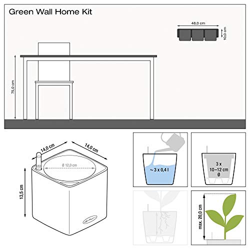 Kit de Pared Cube LECHUZA para Mantener Plantas Vivas Sin Regar a Diario 5